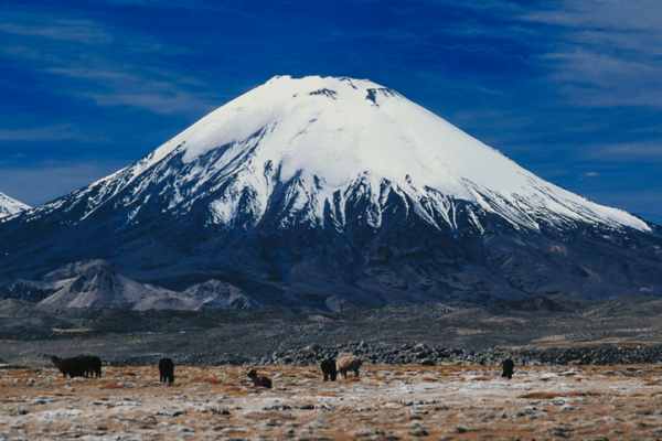 8 Days Kilimanjaro Climb – Lemosho Route
