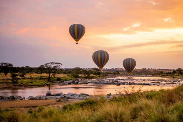 7‑Day Tanzania Signature Safari Experience