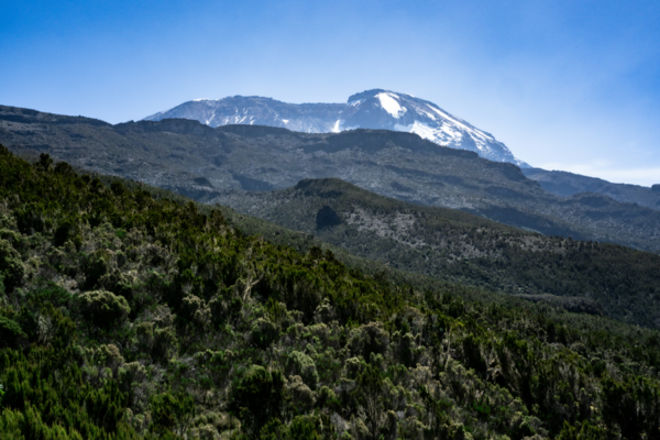 6 Days Kilimanjaro Climb – Umbwe Route