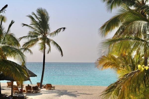 Zanzibar Island Escape 5 Days