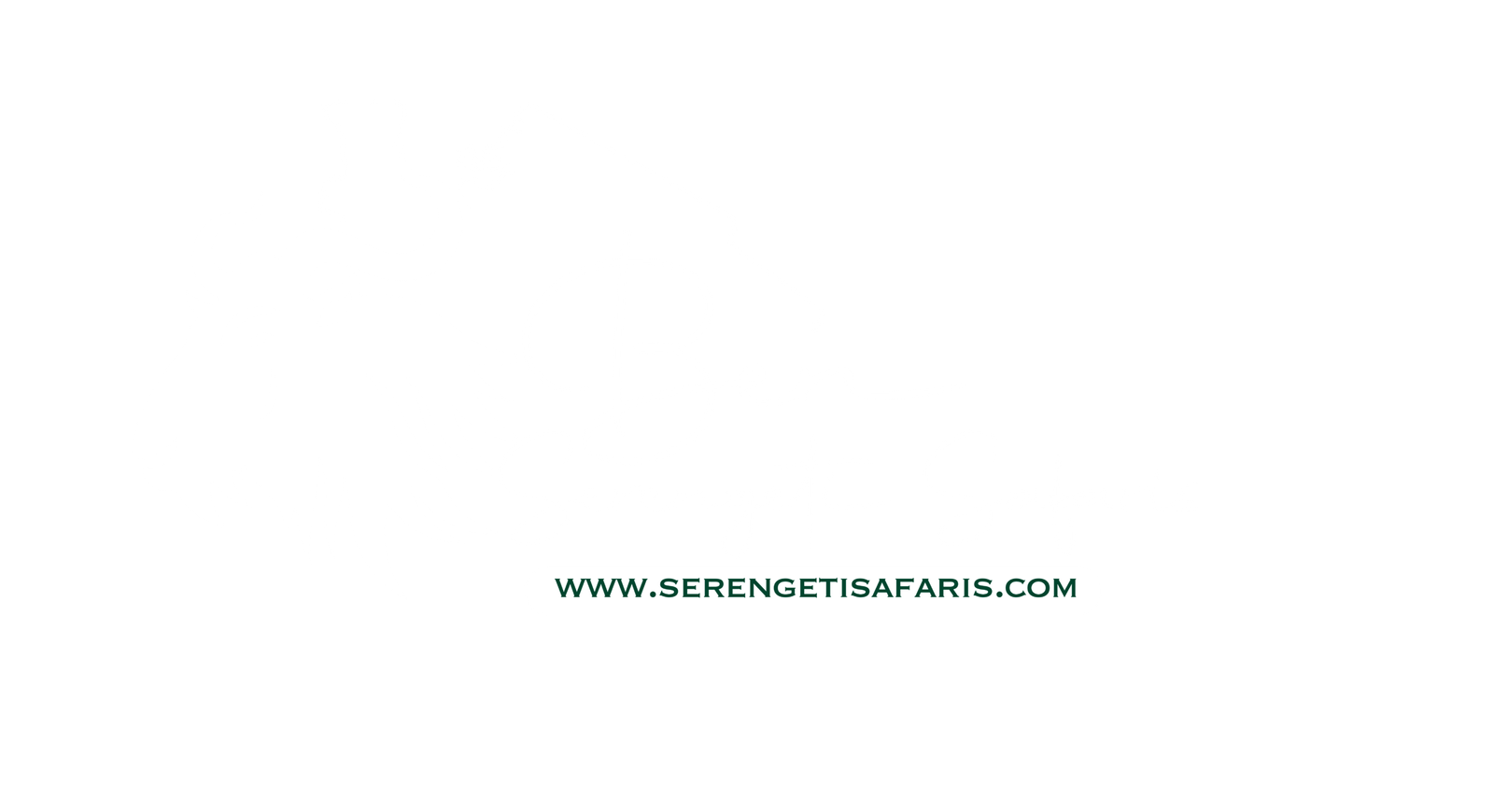 benserengetisafaris