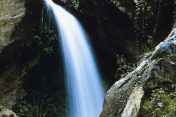 Materuni Waterfall & Coffee Experience – 1‑Day Tour